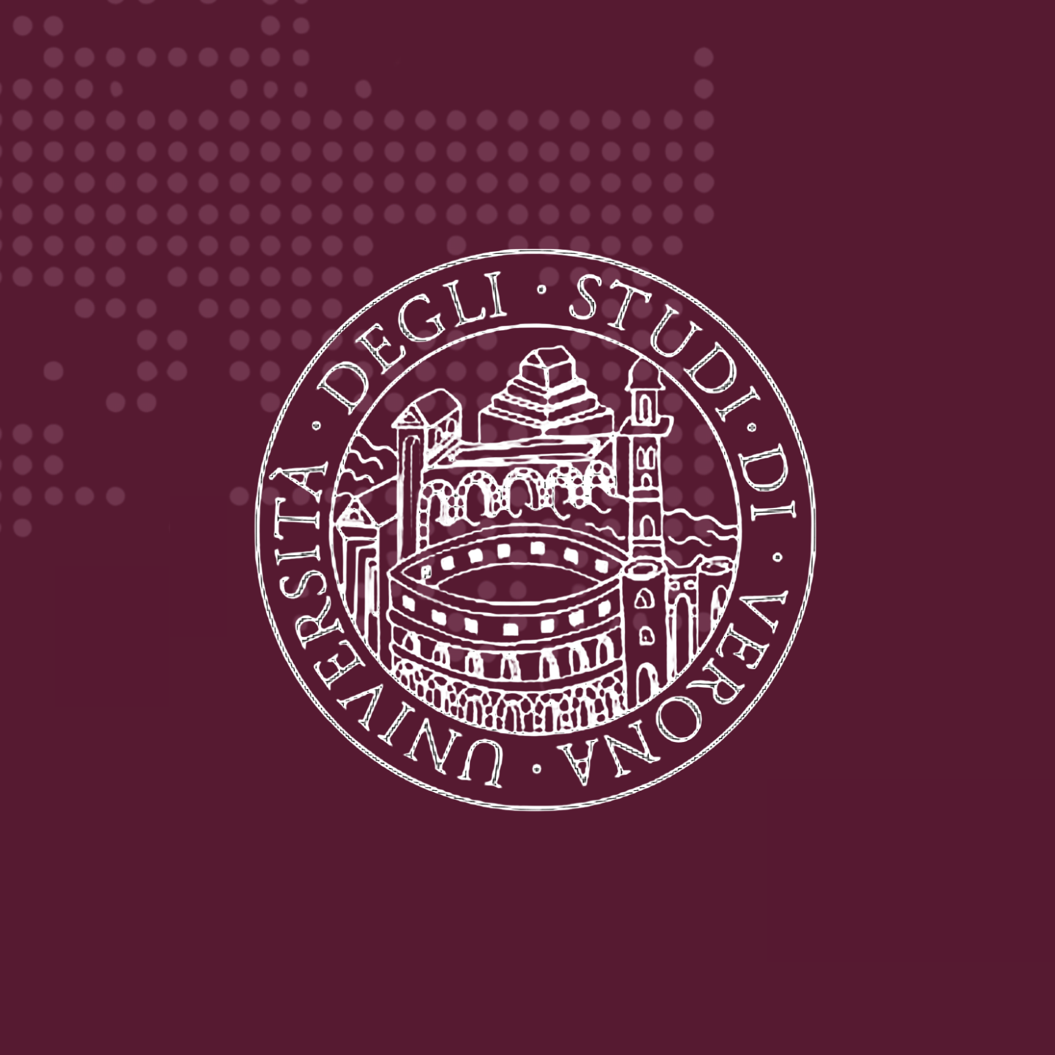 Degli Studi Di Verona Univserita logo
